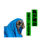 りろとこつぶ（個別スタンプ：32）