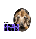 りろとこつぶ（個別スタンプ：35）