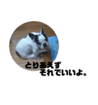 りろとこつぶ（個別スタンプ：38）
