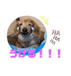 りろとこつぶ（個別スタンプ：40）