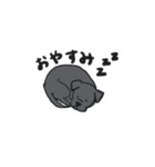 黒ラブ ララ（個別スタンプ：2）