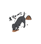 黒ラブ ララ（個別スタンプ：5）