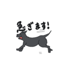 黒ラブ ララ（個別スタンプ：9）