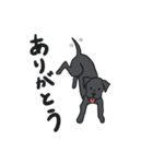 黒ラブ ララ（個別スタンプ：14）