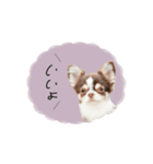 ♡しばぬま様（個別スタンプ：1）