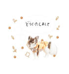 ♡しばぬま様（個別スタンプ：3）