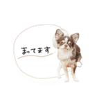 ♡しばぬま様（個別スタンプ：7）