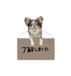 ♡しばぬま様（個別スタンプ：14）