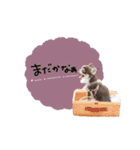 ♡しばぬま様（個別スタンプ：15）
