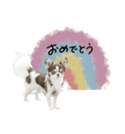 ♡しばぬま様（個別スタンプ：21）