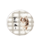 ♡しばぬま様（個別スタンプ：22）
