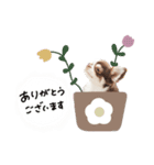 ♡しばぬま様（個別スタンプ：24）