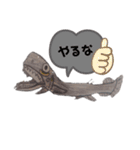 ユルきも可愛 深海魚 スタンプ（個別スタンプ：27）