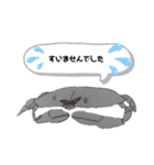 ユルきも可愛 深海魚 スタンプ（個別スタンプ：30）
