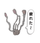 ユルきも可愛 深海魚 スタンプ（個別スタンプ：33）