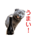 シャビさん その2（個別スタンプ：6）