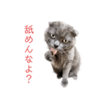 シャビさん その2（個別スタンプ：15）