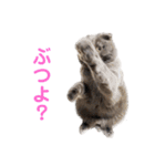 シャビさん その2（個別スタンプ：19）