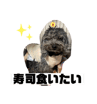 使えるオールスター動物スタンプ（個別スタンプ：8）