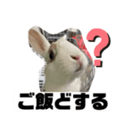 使えるオールスター動物スタンプ（個別スタンプ：9）