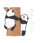 ころころこぱんだ（双子の赤ちゃん）（個別スタンプ：12）