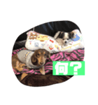 むうちょこ（個別スタンプ：2）
