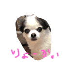 むうちょこ（個別スタンプ：5）