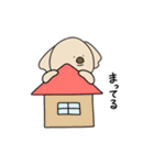 こあら用スタンプ（個別スタンプ：22）