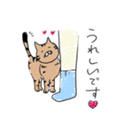 しましまねこちゃんの敬語スタンプ（個別スタンプ：3）