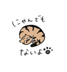 しましまねこちゃんの敬語スタンプ（個別スタンプ：14）