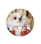 ちーたすたんぷ4（個別スタンプ：3）