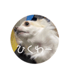 ちーたすたんぷ4（個別スタンプ：4）