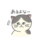 大阪弁をしゃべるねこ（個別スタンプ：4）