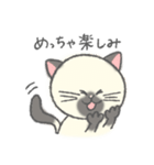 大阪弁をしゃべるねこ（個別スタンプ：22）