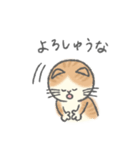 大阪弁をしゃべるねこ（個別スタンプ：40）