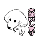 愛犬ココアの日常スタンプ（個別スタンプ：28）