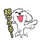 愛犬ココアの日常スタンプ（個別スタンプ：31）