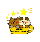 cat ＆ dog in teacup（個別スタンプ：11）