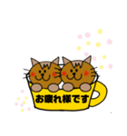 cat ＆ dog in teacup（個別スタンプ：13）