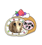 となちゃんᯅ̈⑴（個別スタンプ：1）