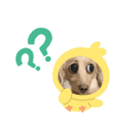 となちゃんᯅ̈⑴（個別スタンプ：5）