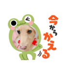 となちゃんᯅ̈⑴（個別スタンプ：6）