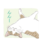 いつも猫と（個別スタンプ：3）