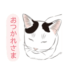 いつも猫と（個別スタンプ：12）