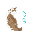 いつも猫と（個別スタンプ：15）