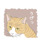 いつも猫と（個別スタンプ：17）