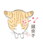 いつも猫と（個別スタンプ：23）