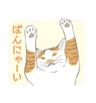 いつも猫と（個別スタンプ：26）