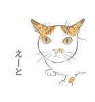 いつも猫と（個別スタンプ：29）