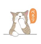 いつも猫と（個別スタンプ：32）